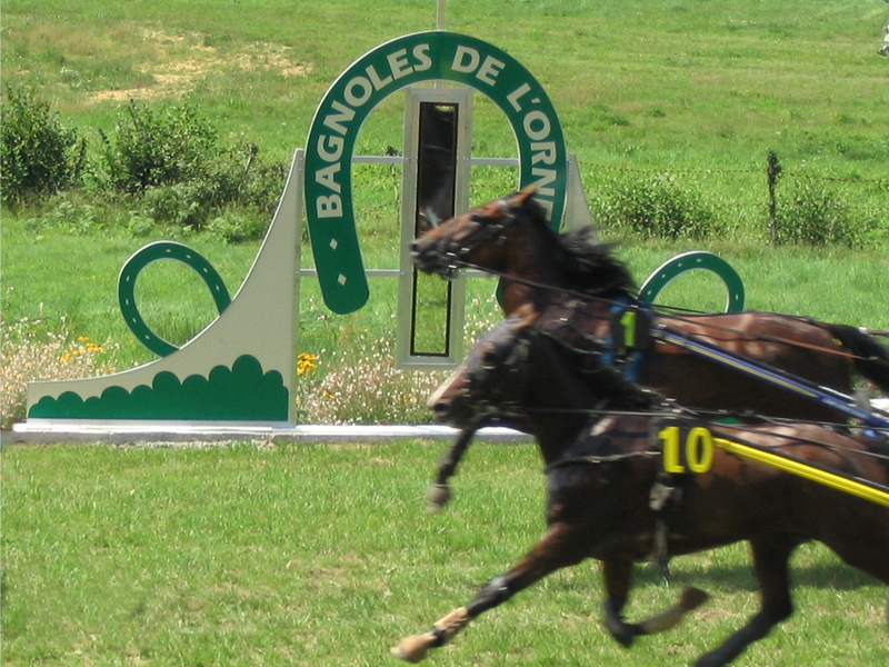 découvrez les passionnantes courses hippiques à dinan-quévert, un événement incontournable pour les amateurs de sensations fortes et d'adrénaline. assistez à des compétitions palpitantes dans un cadre pittoresque, tout en profitant d'une ambiance festive pour toute la famille.