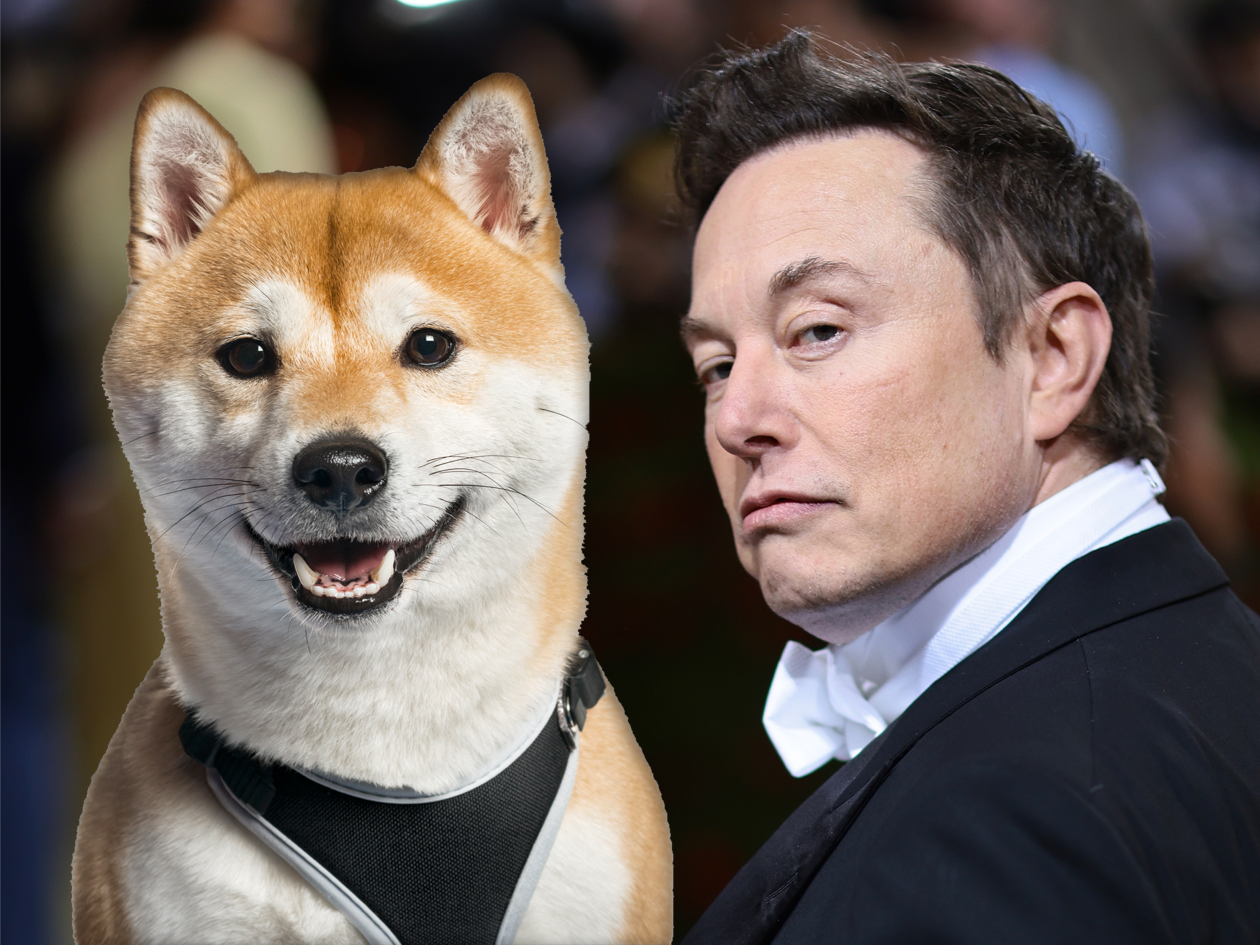 Les Américains se souviendront du DOGE d’Elon Musk, mais pas pour les meilleures raisons découvrez comment elon musk influence le monde des cryptomonnaies avec ses tweets sur dogecoin. suivez l'évolution de la relation entre le pdg de tesla et la célèbre monnaie virtuelle inspirée du mème doge.