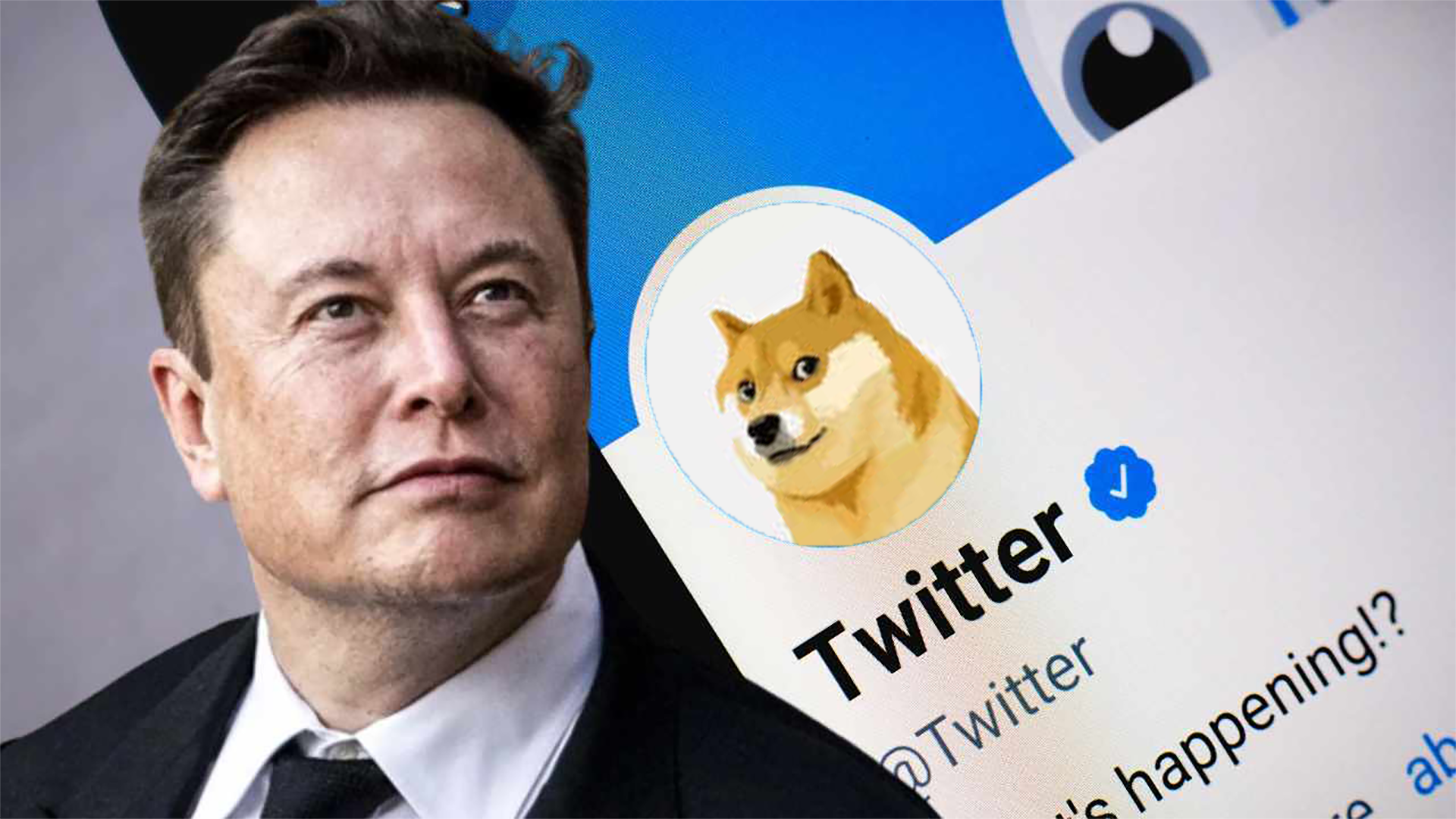 Les Américains se souviendront du DOGE d’Elon Musk, mais pas pour les meilleures raisons découvrez le lien unique entre dogecoin et elon musk : influence, tweets marquants et impact sur la cryptomonnaie. comprenez comment elon musk a contribué à la popularité du dogecoin !