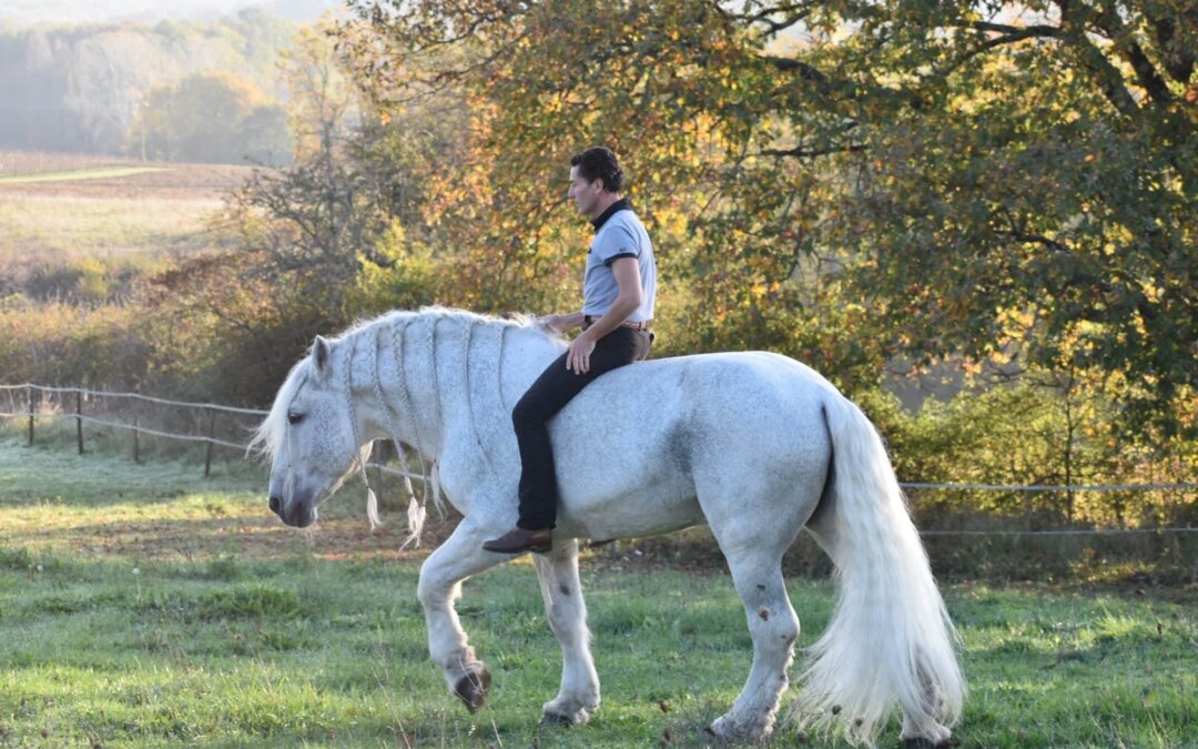 découvrez le festival cheval en gironde, un événement unique célébrant la passion des chevaux à travers des spectacles équestres, des ateliers interactifs et des rencontres avec des professionnels du milieu. rejoignez-nous pour une journée inoubliable dédiée à l'univers équin dans un cadre enchanteur.