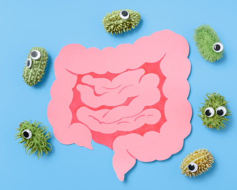 Les bénéfices insoupçonnés d’une réduction de sucre : impact sur la peau et le microbiote intestinal découvrez comment la réduction de sucre peut améliorer la santé de votre peau et préserver l’équilibre de votre microbiote. conseils, bienfaits et astuces pour un mode de vie sain.