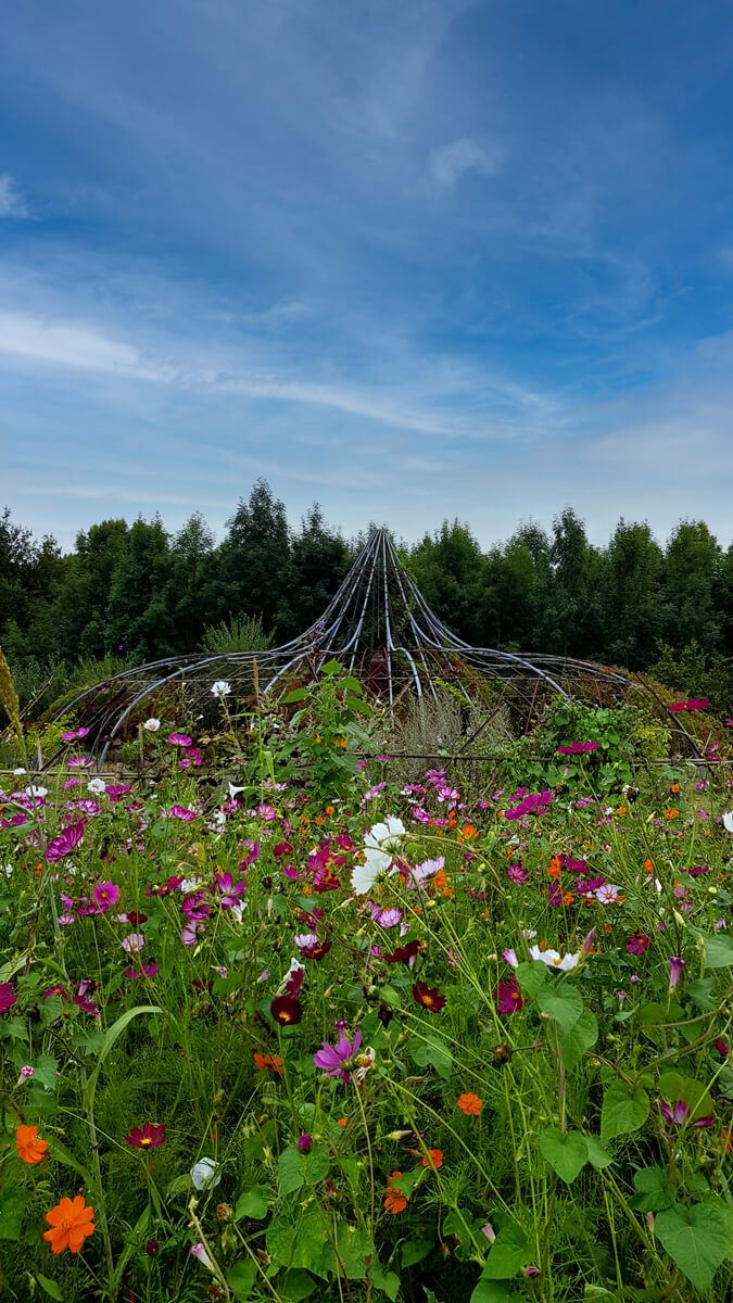 Cinq raisons incontournables de découvrir l’ouverture du Jardin extraordinaire explorez un jardin extraordinaire où nature et émerveillement se rencontrent. découvrez des plantes rares, des paysages uniques et vivez une expérience inoubliable au cœur de la biodiversité.