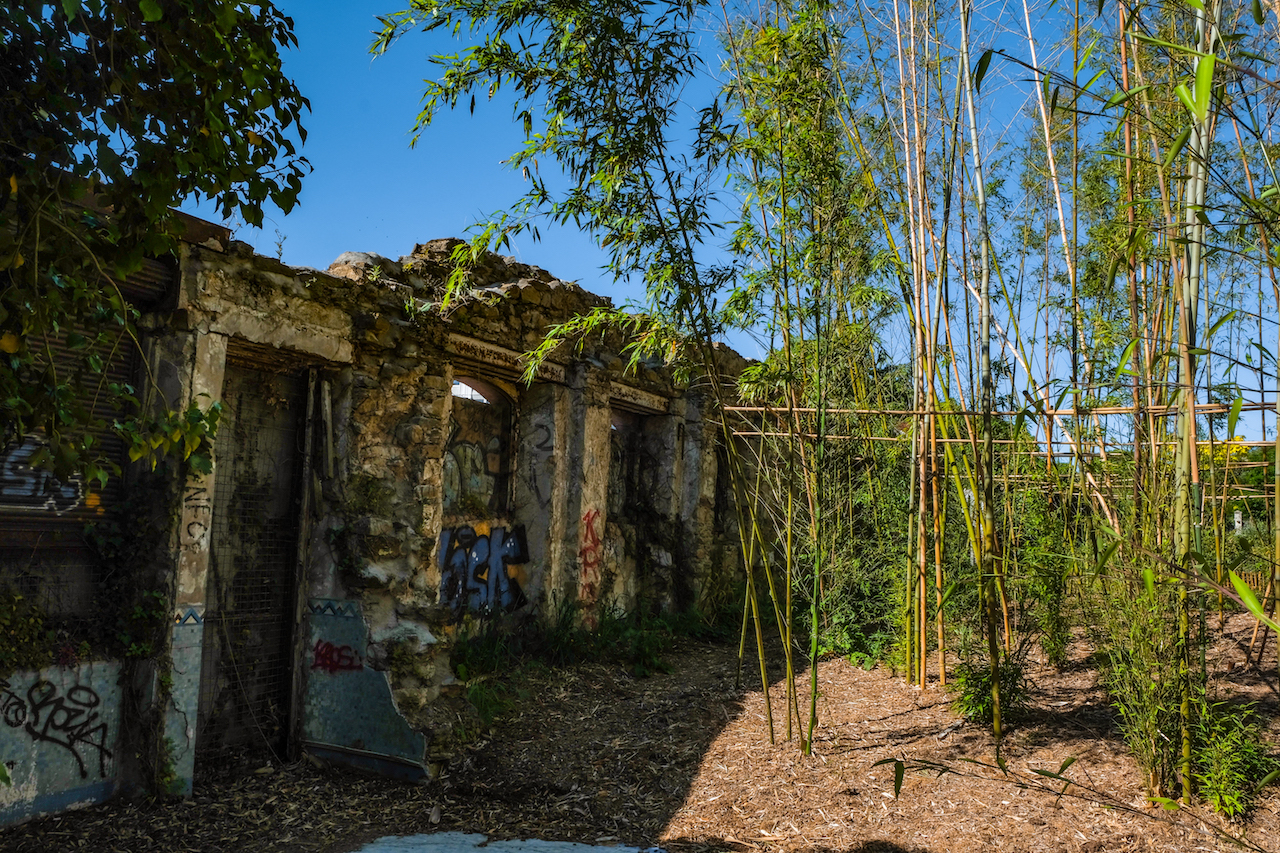 Cinq raisons incontournables de découvrir l’ouverture du Jardin extraordinaire explorez un jardin extraordinaire où la nature dévoile ses merveilles cachées. laissez-vous surprendre par des plantes rares, des paysages enchanteurs et une expérience sensorielle inoubliable au cœur d’un environnement exceptionnel.