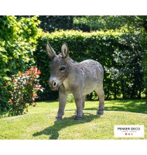 Château-Guibert : Découvrez l’âne sous un nouveau jour avec ces trois raisons captivantes découvrez l'univers captivant de l'âne : ses secrets, son intelligence méconnue et son importance dans nos vies. laissez-vous surprendre par cet animal attachant !