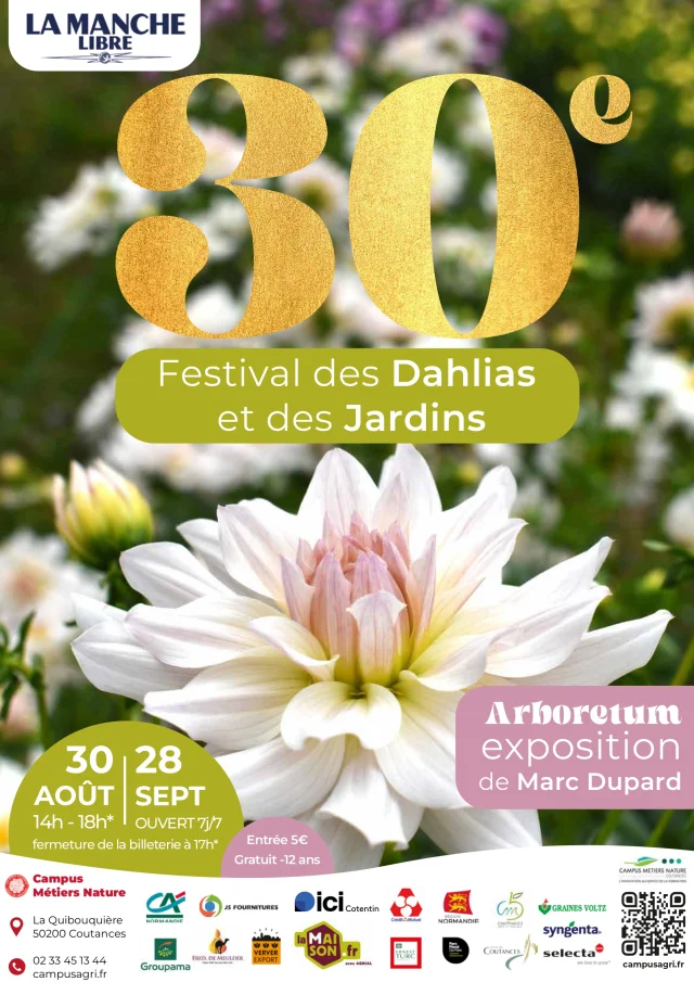 Découvrez pourquoi le festival ‘Toute la mer sur un plateau’ dans la Manche est un événement incontournable : trois raisons de ne pas le manquer ! découvrez le festival incontournable de la manche : concerts, animations et ambiance festive vous attendent pour un événement unique à ne pas manquer en normandie cette année !