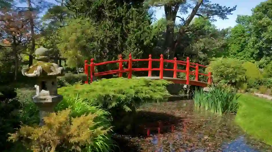 découvrez l'expérience unique de la plongée irlandaise au plessis : ambiance conviviale, saveurs authentiques et animations inspirées de l'irlande pour une soirée inoubliable entre amis ou en famille !