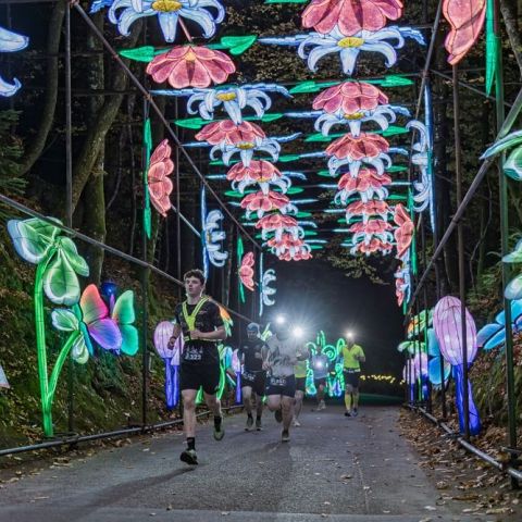 participez à la course des lumières 2025, un événement solidaire mêlant sport et engagement. courez ou marchez pour soutenir la recherche médicale dans une ambiance festive, illuminée par des milliers de participants !