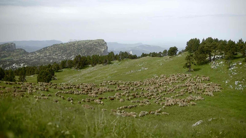 découvrez le festival du film de montagne d'autrans en isère, un événement incontournable célébrant l'aventure, la nature et les sports de montagne à travers une sélection de films inspirants.