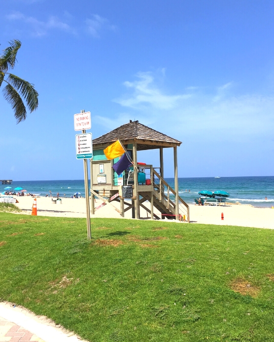 découvrez pourquoi de plus en plus de touristes choisissent d'éviter la floride et explorez les facteurs qui influencent cette tendance.