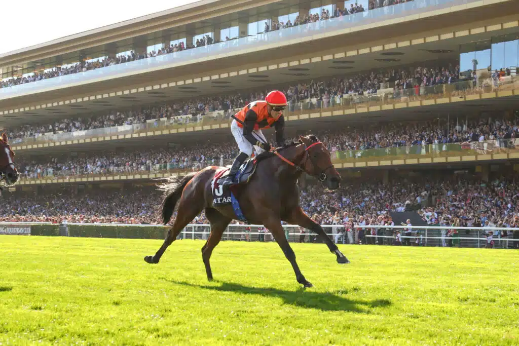 découvrez les raisons de visiter le qatar et explorez le prix de l'arc de triomphe, deux destinations emblématiques mêlant culture et histoire.