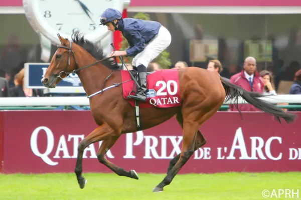 découvrez les raisons de vivre au qatar et explorez l'histoire du prix de l’arc de triomphe, deux univers fascinants à ne pas manquer.