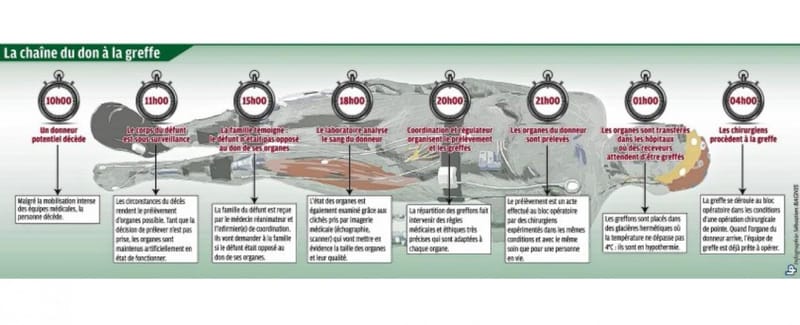 découvrez les avancées prometteuses et les perspectives encourageantes dans le domaine des greffes d'organes pour offrir un avenir meilleur aux patients.