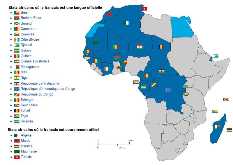 découvrez pourquoi apprendre le français à nice est une expérience enrichissante, alliant culture, langue et cadre méditerranéen idéal.