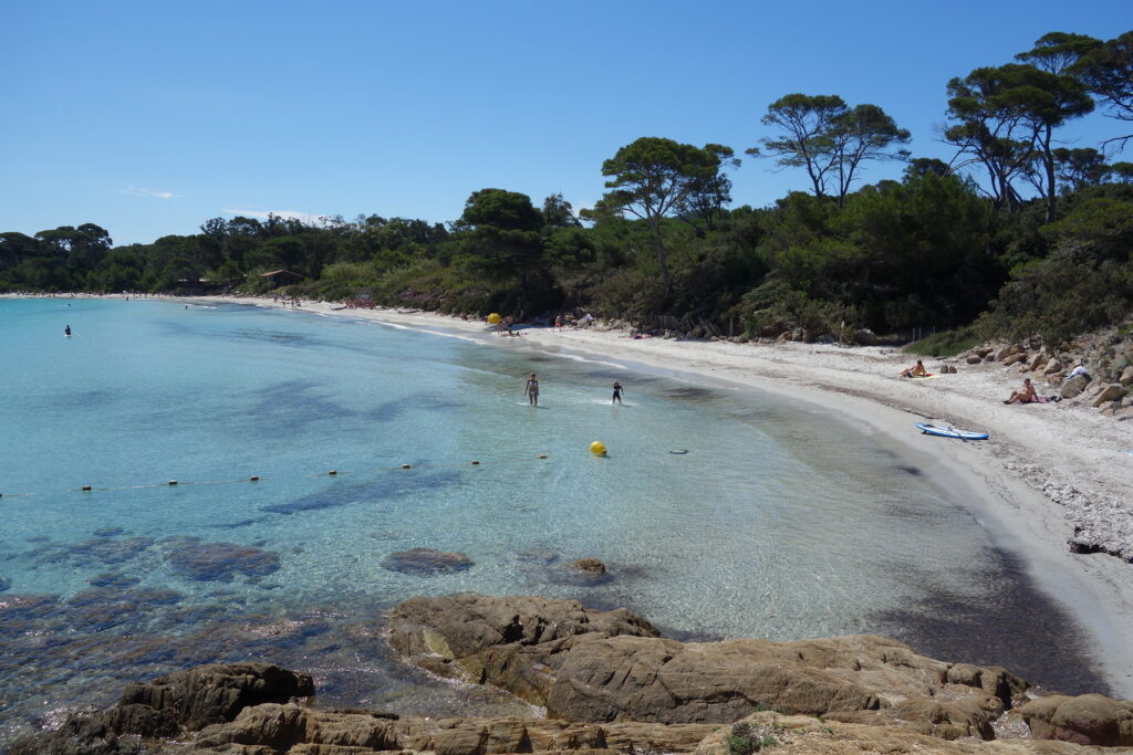 bonnes raisons de partir à la découverte de Porquerolles au printemps découvrez porquerolles au printemps : paysages fleuris, plages idylliques et ambiance paisible pour une escapade nature inoubliable.